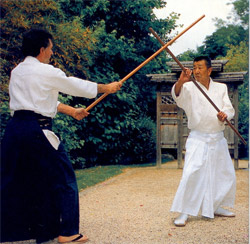 Sensei 2